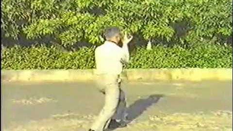 Fu Style Yin & Yang Bagua Zhang 傅式 陰陽八卦掌合練