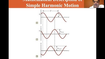 University Physics Lectures, Particle in Simple Harmonic Motion