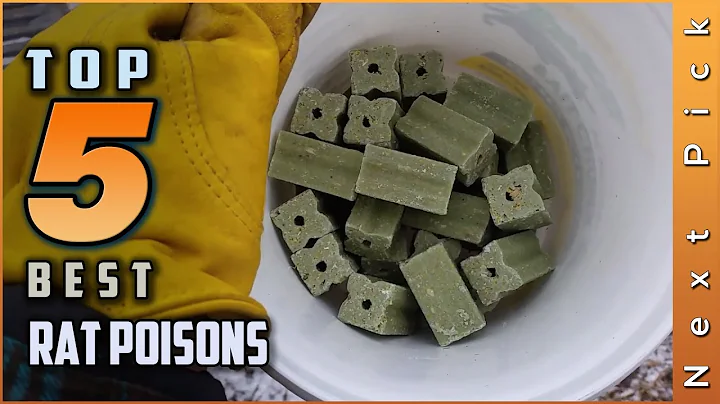 Top 5 Best Rat Poisons Review in 2026