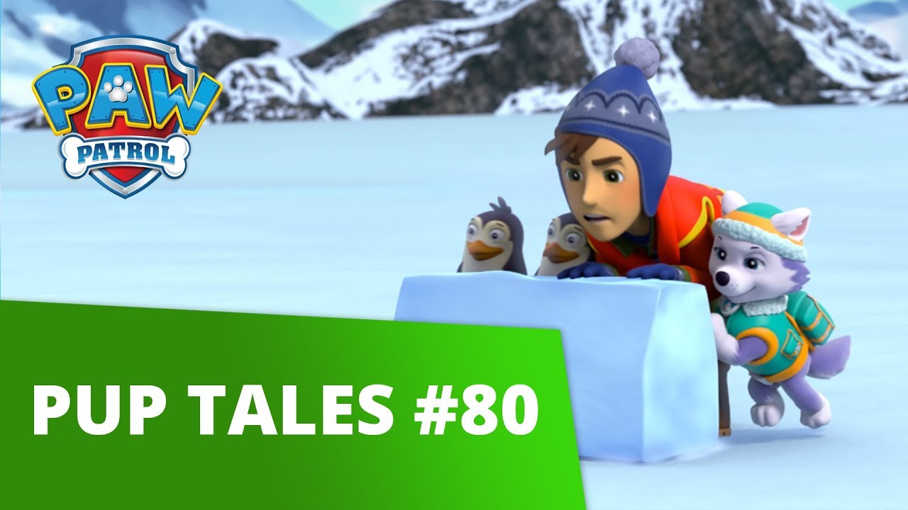 mission paw pups save the royal throne