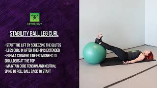 Stability Ball Leg Curl