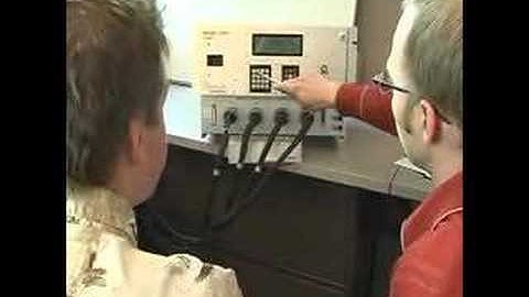 diversity internship