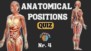 Master Anatomical Position and Directional Terms in Minutes!  Quiz #4