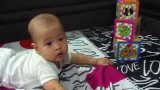 铁头功 The Iron Head