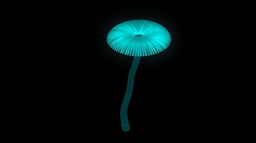Procedural mushrooms
