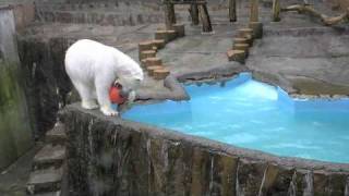 ピリカ 嵐のひとり遊び