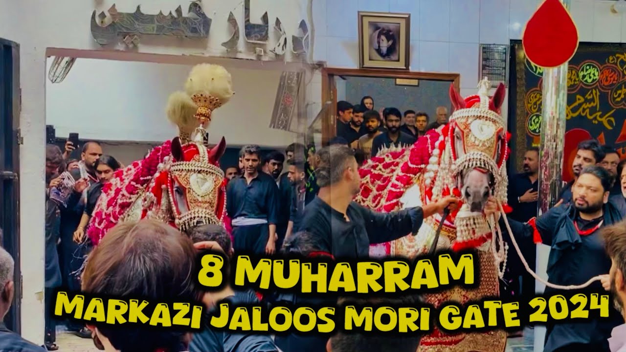 8 Muharram | Zuljanah Shah Murtajiz Mori Gate Lahore 2024