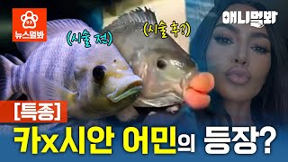 듀...💋 카다시안 입술 뺨치는 어민의 등장;;;ㅣSBS 뉴스멀봐 (2025.01.31) I Fish has a Kardashian Lips