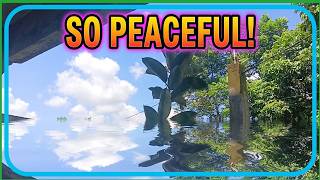 LOOK AT THE SKY | Manugang tv is live!