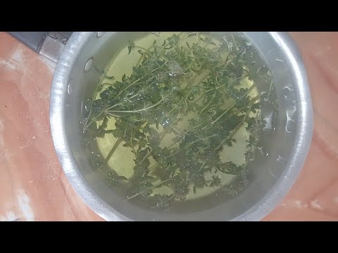 الطريقة الصحيحة لتحضير التيزانة تحضير منقوع الاعشاب و كيفية الحفاظ على القيمة الغذائية الكاملة