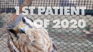 1st of 2020 YOUTUBE