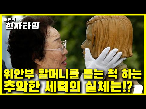 위안부 할머니를 이용하는 세력이 있다!? 그 세력의 민낯을 서민교수가 낱낱이 밝힌다!![서민교수의 현자타임 EP.21]