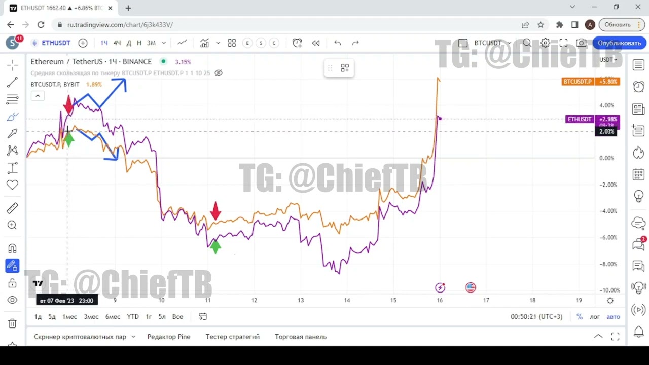 Торговый бот Chief Dual