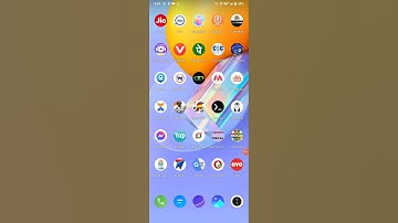 csc police verification download