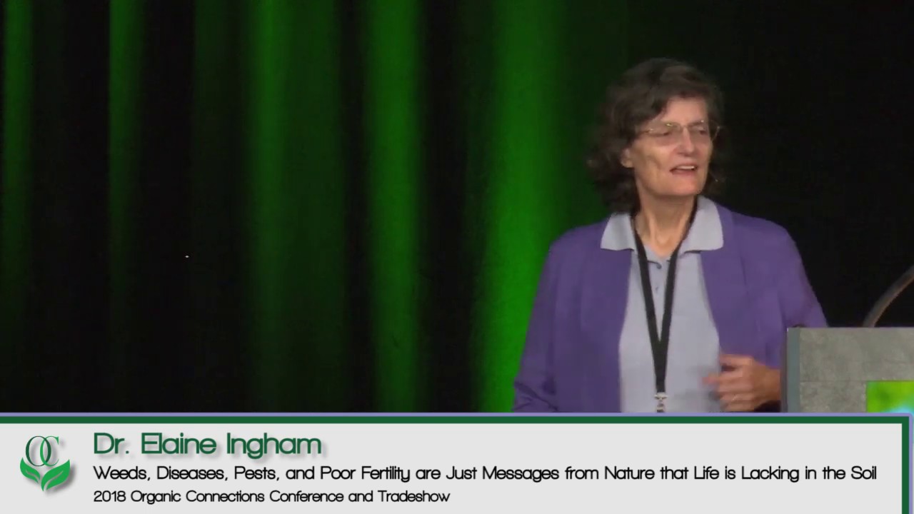 Messages from Nature that Life is Lacking in the Soil (2018)