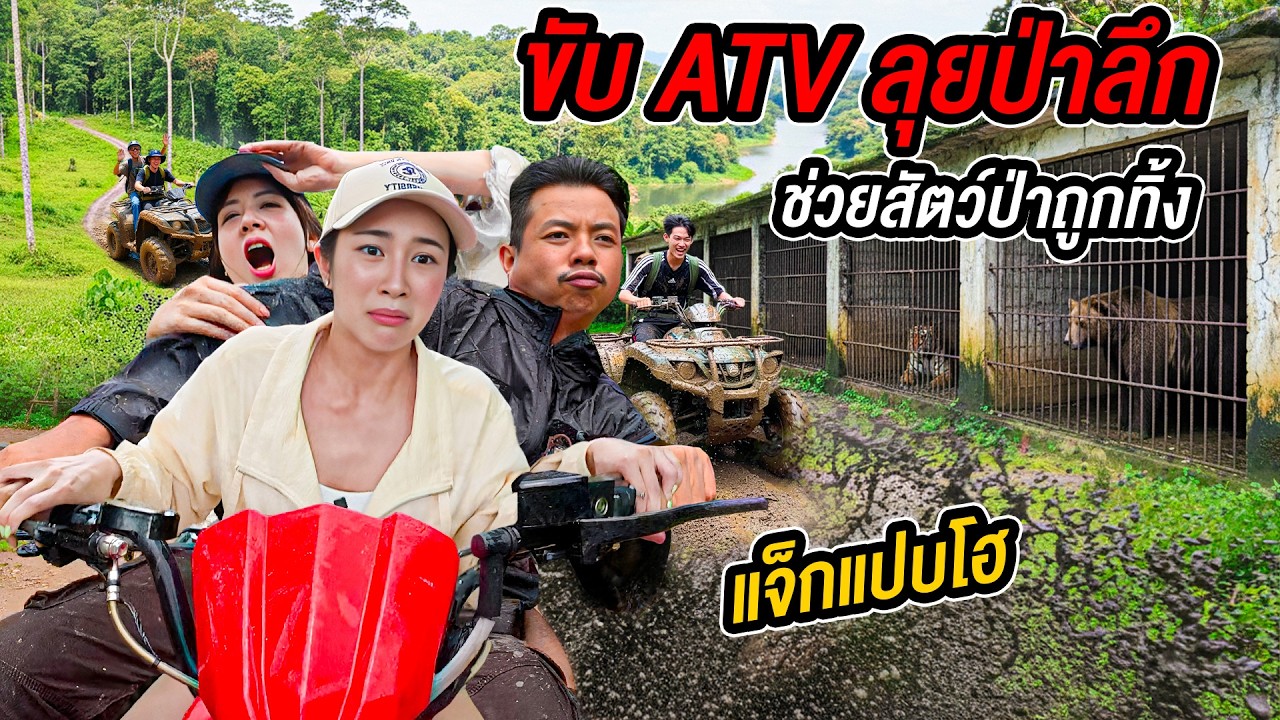 ภารกิจโหดกลางป่าลึก! ลุยเส้นทางสุดโหดกับ “แจ็ก แปปโฮ” ช่วยสัตว์ป่าถูกทิ้ง - นครนายก