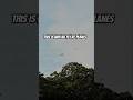 the piece of mind RC flying brings #airplane