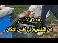 نتيجة تقسيم النحل في نفس المكان بعد ثلاثة ايام فقط سمعها