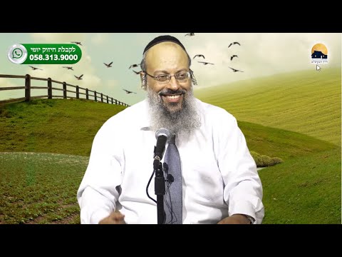 פרשת פנחס | להשפיע באמצעות אושר | זוגיות עם עמקות ᴴᴰ