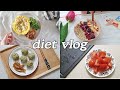 [Eng sub, DIET VLOG] 다이어트 식단 레시피ㅣ다이어트 식단 일기ㅣ다이어트 식단 브이로그ㅣ다이어트 주먹밥ㅣ계란 다이어트ㅣ그릭요거트볼ㅣ나의 건강한 식단