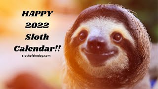 2022 Sloth Calendar With Adorable Sloth Images: Paperback 2022 12 Month Sloth Calendar