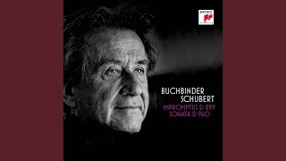 Impromptus, D 899, Op. 90: III. Andante