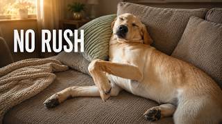 The Morning I Never Want to Rush Again