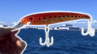 This Lure Caught My Dream Fish (Perth Western Australia) 