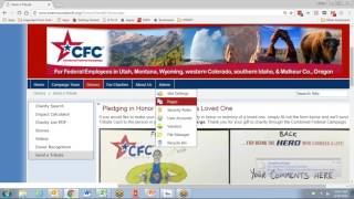 2016 CFC Campaign Manager Training Net Worth