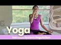 Yoga: Somatic Tapping, Acupressure, & Gentle Movement | 28 Mins Nervous System Regulation