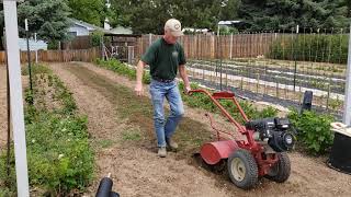 20200516 Paste Tomato Row Prep 3