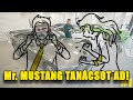 Mr mustang tancsot ad 1 hogyan vegyk r az asszonyt hogy mustangot vehessnk