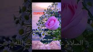 Good morning 🌄|Morning wishes|Subha bakhaird|Subha ka Salam #morning #wishes #islamic #shorts#yt