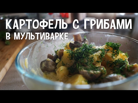 Картофель с грибами в мультиварке. Вкусные рецепты картофеля с грибами в мультиварке