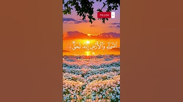 وفي الأرض آيات للموقنين || الذاريات#عبدالرحمن_المسعودي
