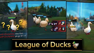 🦆 LEAGUE OF DUCKS 🦆 Meme Edit