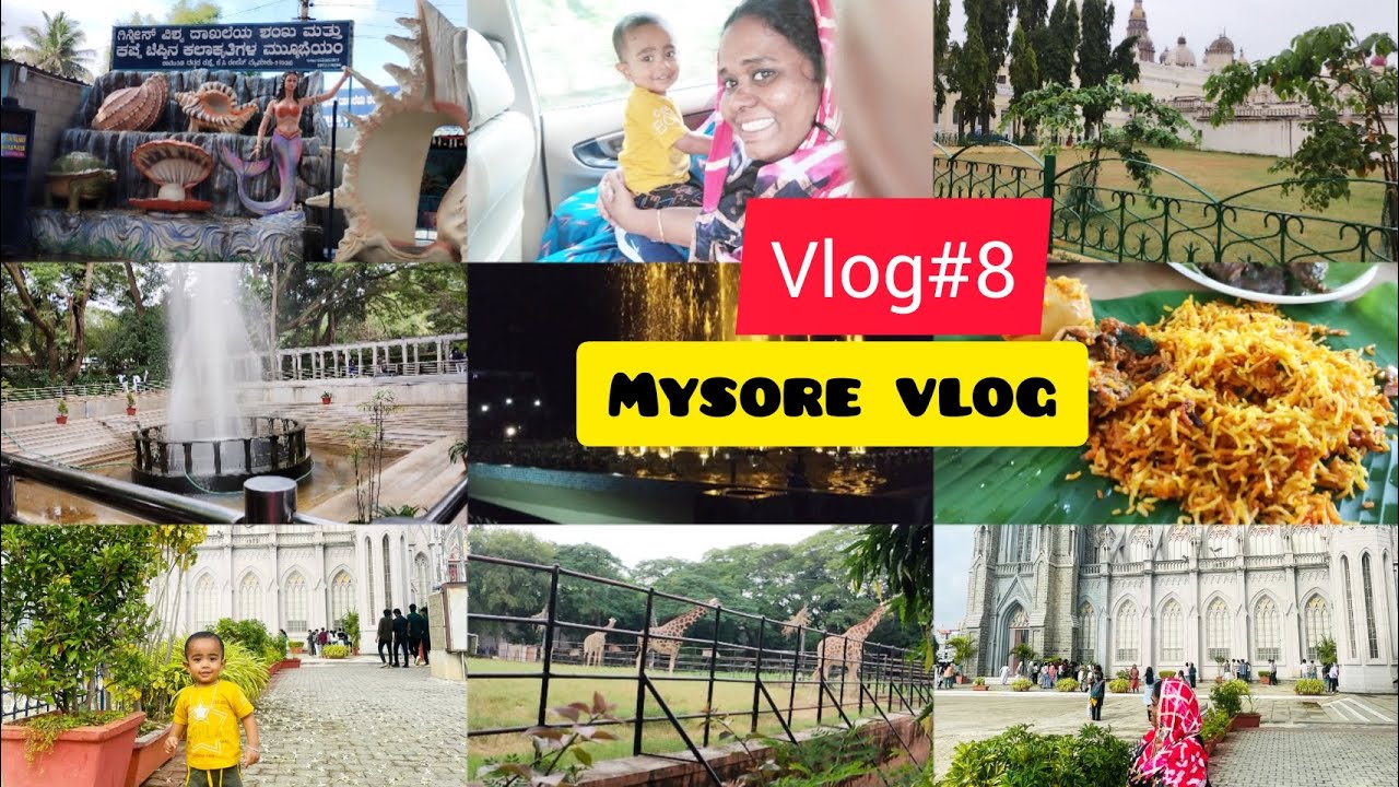 Diml Vlog தமிழில்:Vlog#8 | 💁♀️ மைசூர் vlog | diml | traval vlog #vlog #diml # ...
