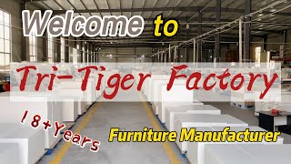 Welcome To Jinan Tri-Tiger Factory丨18 Years Furniture Manufacturer