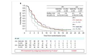 Liver Metastasis Analysis in RAINBOW Study