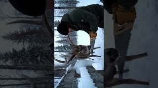 Freeing The Deer From An Icy Fence deerrescue snowmountain faithinhumanity
