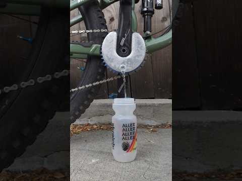 This sprocket carries