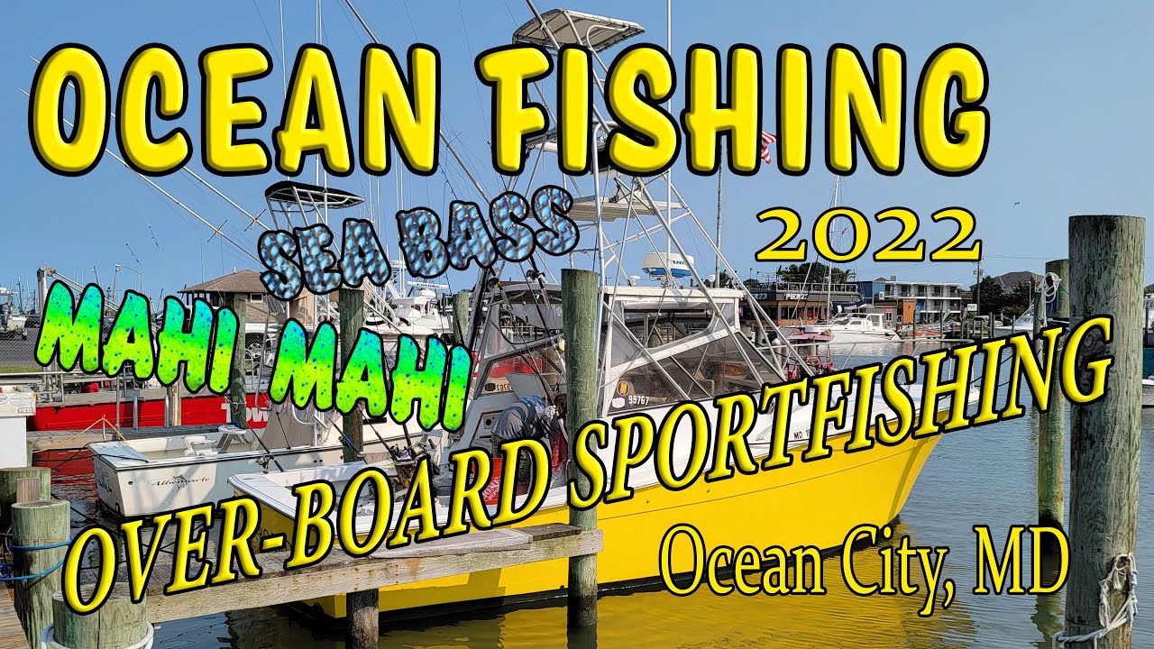 Come along Deep Sea fishing for Mahi Mahi & Sea Bass in OCMD YouTube