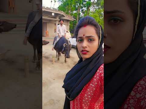 आदर्श पापा क्या कर रहा है #love #newsong #coversong #hindisong #bhojpuri