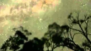 Firefly Catcher Rich Szerman