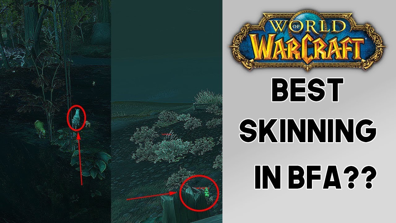 World of Warcraft Insane Skinning Gold Farm! Best Skinning In BFA?? (8.0)(8.0.1)