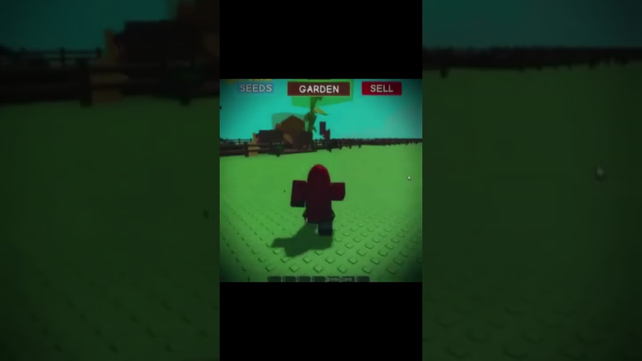 my new editing skills