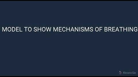 NCERT || Class || 7 Science || Activity 10.6 || Mechanism of Breathing