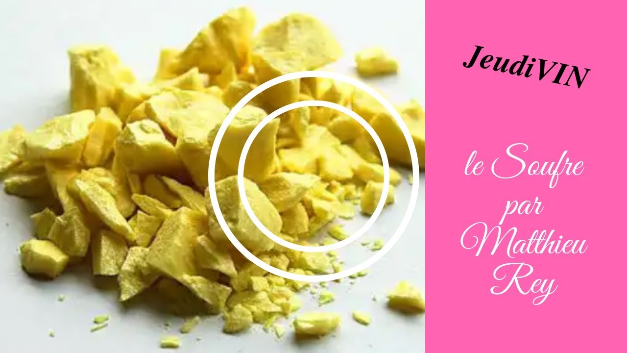 La solution idéale lors des dégustations de vin : l'eau