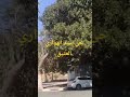 حي سيد الهواري العتيقة وهراني Travel جولات Live فلوجات احياء وهران العتيقة حي سيد الهواري العتيقة وهراني Travel جولات Live فلوجات احياء وهران العتيقة
