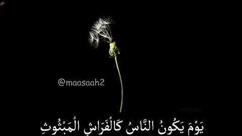 سورة القارعة حالات واتساب